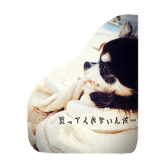 [LINEスタンプ] 大好きなビビ1