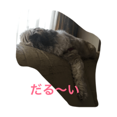 [LINEスタンプ] あんつん