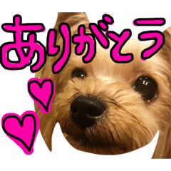 [LINEスタンプ] 愛犬リズムの気持ち。vol.2