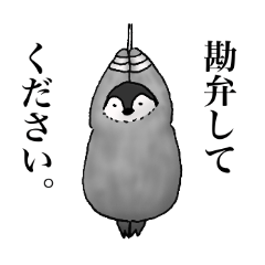 [LINEスタンプ] 謝りペンギン