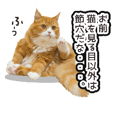 [LINEスタンプ] コムタン＆ネギタン01