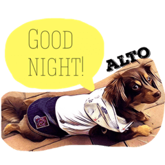 [LINEスタンプ] アルベルそうた