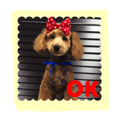 [LINEスタンプ] stamp style fusuke of toy-poo