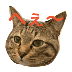 [LINEスタンプ] チョコくんスタンプ