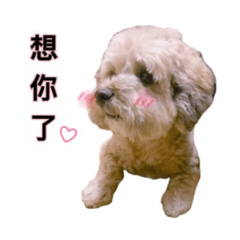 [LINEスタンプ] FEFE DOG