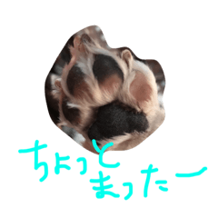 [LINEスタンプ] 我が家のシオン