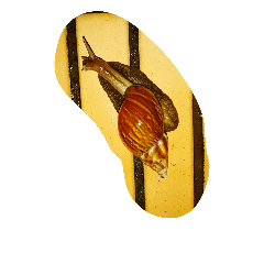 [LINEスタンプ] Slow Snail