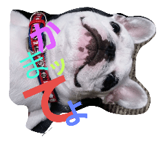 [LINEスタンプ] フレンチブルドッグの可愛い日常です