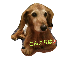 [LINEスタンプ] qoo3