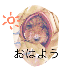 [LINEスタンプ] ラムの日常