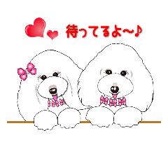 [LINEスタンプ] ふわもこプードル ソフィア＆シャーロット