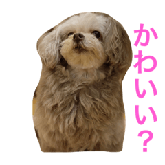[LINEスタンプ] らぶちゃんの気持ち