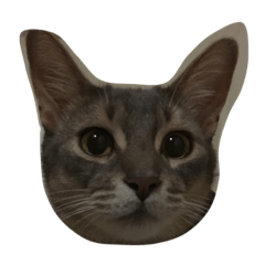 [LINEスタンプ] ノエルのフェイススタンプ