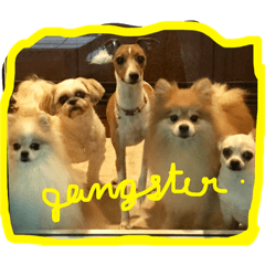 [LINEスタンプ] doggie gangster