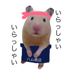[LINEスタンプ] キンクマハムスターきなこ＆わらび