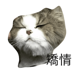 [LINEスタンプ] A m m m m