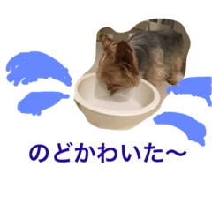 [LINEスタンプ] プリティ はるちゃん