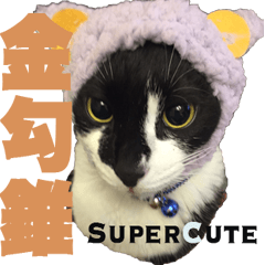 [LINEスタンプ] Lucy's