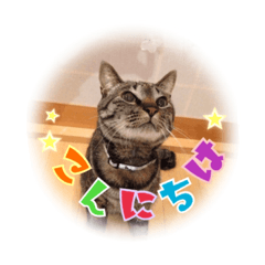 [LINEスタンプ] Karincho 6