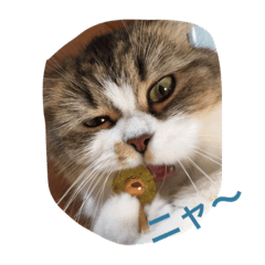 [LINEスタンプ] らん＆もなか