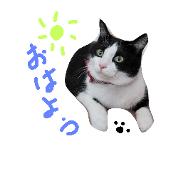 [LINEスタンプ] fu ＆ an . 2