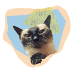 [LINEスタンプ] ねこ  ＆    うさぎ