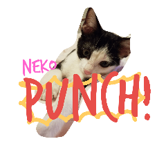[LINEスタンプ] 子猫のジジちゃん+
