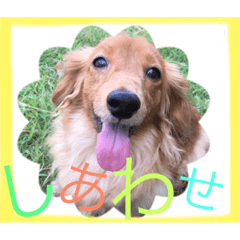 [LINEスタンプ] ぼくはメルくん