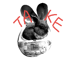 [LINEスタンプ] Tato Rabbit