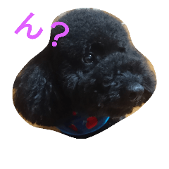 [LINEスタンプ] 犬こてつ4