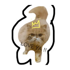 [LINEスタンプ] ばたーかっぷ第二弾