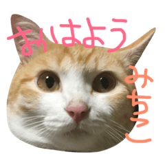 [LINEスタンプ] みちこの名前スタンプ