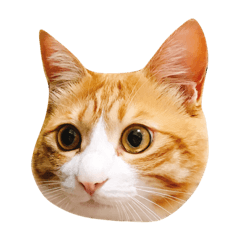 [LINEスタンプ] ちびたとウニ