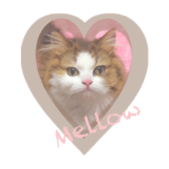 [LINEスタンプ] めろたーん