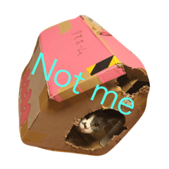 [LINEスタンプ] I Love RON.