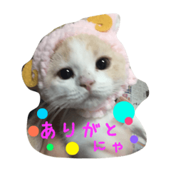 [LINEスタンプ] reo1203