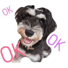 [LINEスタンプ] しょぼたん ①