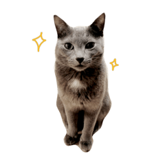 [LINEスタンプ] My name is Luu