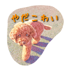 [LINEスタンプ] モコモコ アン。