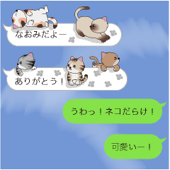 [LINEスタンプ] 【なおみ】猫だらけの吹き出しの画像（メイン）