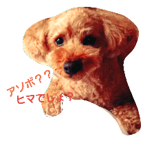 [LINEスタンプ] WANPO