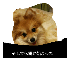 [LINEスタンプ] そして伝説が始まった…