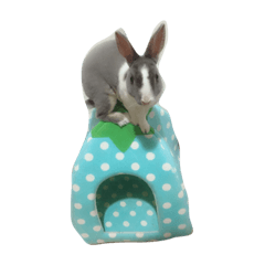[LINEスタンプ] Rabbit ..