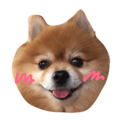 [LINEスタンプ] ランとユキ