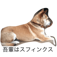 [LINEスタンプ] ナナミ