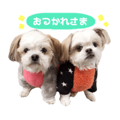 [LINEスタンプ] たろしん
