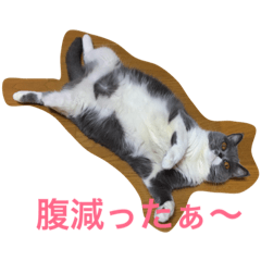 [LINEスタンプ] こはるちゃん女の子