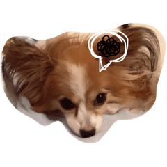 [LINEスタンプ] maroshoco club