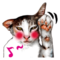 [LINEスタンプ] Daily Talkie Thai Cats