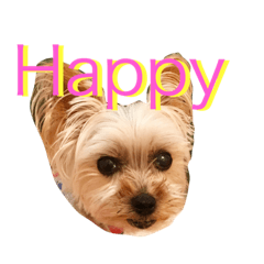 [LINEスタンプ] Happy510